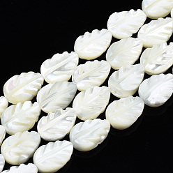 White Natural Trochid Shell/Trochus Shell Beads Strands, Bleach, Leaf, White, 11.5~12x8x3~3.5mm, Hole: 0.8mm, about 34~35pcs/strand, 15.55 inch(39.5~40.6cm)