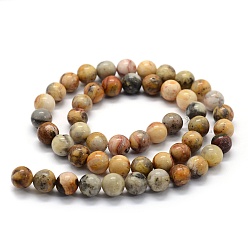 Crazy Agate Natural Crazy Agate Beads Strands, Round, 8mm, Hole: 0.8mm, about 49pcs/strand, 15.3 inch(39cm)