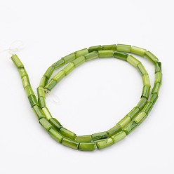 Vert Jaune Shell normal de perles brins, teint, colonne, vert jaune, 8x4mm, Trou: 0.5mm, Environ 50 pcs/chapelet, 15.7 pouce