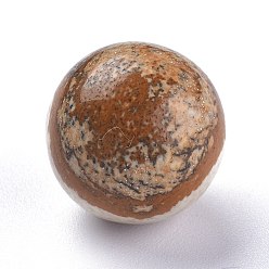 Пейзажный Джаспер Естественного изображения яшмы, сфера драгоценного камня, нет отверстий / незавершенного, круглые, 17.5~18 мм