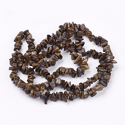 Tiger Eye Natural Tiger Eye Stone Bead Strands, Chip, 4~10x4~6x2~4mm, Hole: 1mm, about 210pcs/strand, 35.4 inch