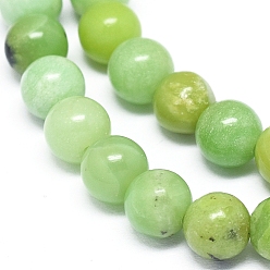 Serpentine Natural Serpentine Beads Strands, Round, 6mm, Hole: 1mm, about 68pcs/strand, 15.7 inch(40cm)