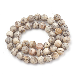 Natural Gemstone Natural Gemstone Beads Strands, Frosted, Round, 8mm, Hole: 1mm, about 47pcs/strand, 15.5 inch