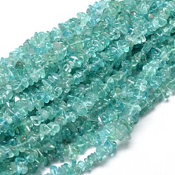 Apatite Natural Apatite Chip Beads Strands, 5~14x4~10mm, Hole: 1mm, about 15.5 inch~16.1 inch