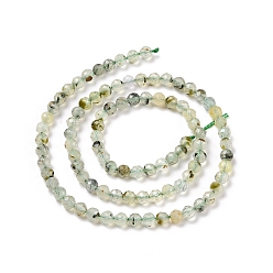 Prehnite Natural Prehnite Beads Strands, Faceted, Round, 4mm, Hole: 0.7mm, about 93~94pcs/strand, 15.35~15.55 inch(39~39.5cm)