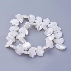 Other Sea Shell Shell Beads Strands, Animal, 12.8~13x17.6~18x3.5~4mm, Hole: 0.5mm, about 32pcs/strand, 15.55 inch(39.5cm)