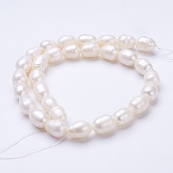 Seashell Color Natural Cultured Freshwater Pearl Beads Strands, Oval, Seashell Color, 11~13x9~10mm, Hole: about 0.5mm, about 30pcs/strand, 13.8 inch