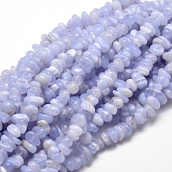 Blue Lace Agate Natural Blue Lace Agate Chip Beads Strands, 5~14x4~10mm, Hole: 1mm, about 15.5 inch~16.1 inch