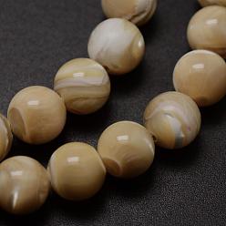 Other Sea Shell Natural Sea Shell Round Bead Strands, 8mm, Hole: 1mm, about 52pcs/strand, 15.7 inch