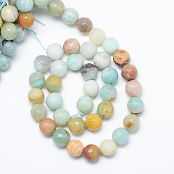 Flower Amazonite Natural Flower Amazonite Bead Strands, Faceted, Round, 8~9mm, Hole: 1mm, about 45pcs/strand, 14.5~14.8 inch