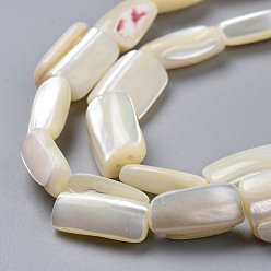 Light Goldenrod Yellow Natural Shell Beads Strands, Rectangle, Light Goldenrod Yellow, 13.5~15.5x7.5~11.5x4.5~8.5mm, Hole: 1mm, about 25pcs/Strand, 15.16 inch(38.5cm)