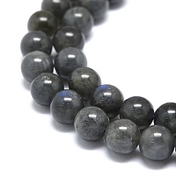 Larvikite Natural Larvikite Beads Strands, Round, 8~8.5mm, Hole: 1mm, about 46pcs/strand, 15.55 inch(39.5cm)