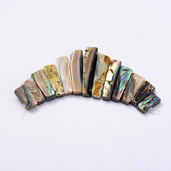 Paua Shell Rectangle Natural Abalone Shell/Paua ShellGraduated Beads Strands, 11~26x5.2~5.8x2~3mm, Hole: 1mm, 13pcs/strand
