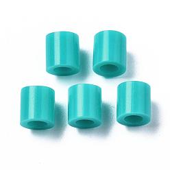 Medium Turquoise PE Fuse Beads, DIY Melty Beads, Tube, Medium Turquoise, 5x5mm, Hole: 3mm, about 8000pcs/500g