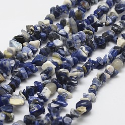 Blue Natural Sodalite Beads Strands, chip, Blue, 3~5x7~13x2~4mm, Hole: 0.4mm, 31.5 inch