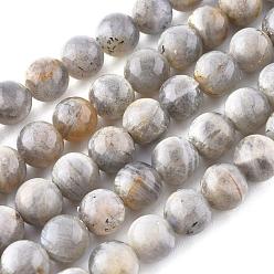 Labradorite Natural Labradorite Beads Strands,  Round, 8mm, Hole: 1mm