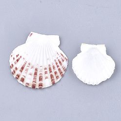 Coquillage De Mer Perles de coquille Saint-Jacques naturelles, perles de coquille de mer, perles non percées / sans trou, couleur de coquillage, 36~51x37~54x3~7mm