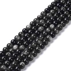 Obsidian Natural Silver Obsidian Beads Strands, Round, 6mm, Hole: 1mm, about 66pcs/strand, 15.55''(39.5cm)