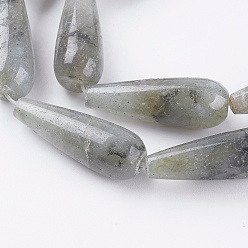 Labradorite Natural Labradorite Beads Strands, teardrop, 28.5~30x10~10.5mm, Hole: 1.8mm, about 13pcs/strand, 15.1 inch(38.5cm)