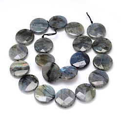 Labradorite Natural Labradorite Bead Strands, Faceted, Flat Round, 25x6mm, Hole: 1mm, about 16pcs/strand, 16 inch