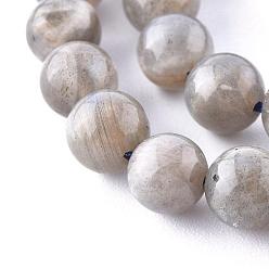 Labradorite Natural Labradorite Beads Strands,  Round, 8mm, Hole: 1mm