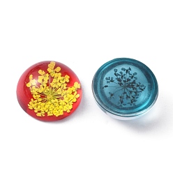 Mixed Color Handmade Glass Flat Back Cabochons, with Dried Flower, Dome/Half Round, Mixed Color, 25x11mm