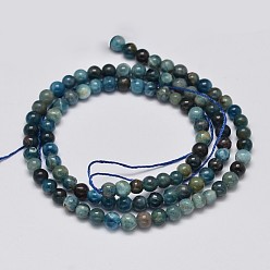 Apatite Round Natural Apatite Beads Strands, Grade AB, 4mm, Hole: 1mm, 13.78''(35cm)