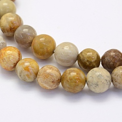 Fossil Coral Natural Fossil Coral Beads Strands, Round, 8~8.5mm, Hole: 1mm, about 49pcs/strand, 15.7 inch(40cm)