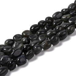Larvikite Natural Larvikite Beads Strands, Tumbled Stone, Nuggets, 7.5~9x7.5~8x3.5~6mm, Hole: 1mm, about 44pcs/strand, 15.16~15.75 inch(38.5~40cm)