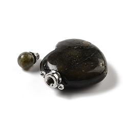 Смешанные камни Подвески для флаконов духов из натуральных смешанных камней, для эфирного масла, духи, с латунными наконечниками и пипетками платинового цвета, сердце, 42x29~32x12~12.5 мм, отверстие : 1.5~1.8 мм