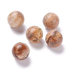 Jaspe Image Picture naturelles perles de jaspe, pas de trous / non percés, pour création de fil enroulé pendentif , ronde, 20mm