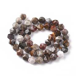 Petrified Wood Natural Petrified Wood Beads Strands, Star Cut Round Beads, Faceted, 8mm, Hole: 1mm, about 47pcs/strand, 14.96 inch(38cm)