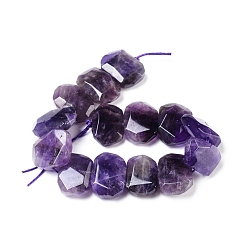 Amethyst Natural Amethyst Beads Strands, Faceted, Polygon, 12~16x18~21x6~8mm, Hole: 1.2mm, 6~8mm thick, about 13~14pcs/strand, 7.48 inch~7.87 inch(19~20cm)