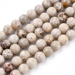 Maifanite Natural Maifanite/Maifan Stone Beads Strands, Round, 10mm, Hole: 1mm, about 38pcs/strand, 15.1 inch