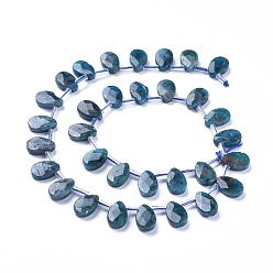 Apatite Natural Apatite Beads Strands, Top Drilled Beads, Faceted, Teardrop, 12~13x8.5x3~4mm, Hole: 0.6mm, about 32pcs/Strand, 15.55 inch(39.5cm)