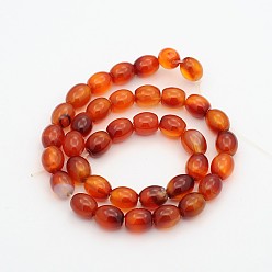Carnelian Oval Natural Carnelian Beads Strands, Dyed & Heated, 11x9mm, Hole: 1mm, about 37pcs/strand, 15.5 inch