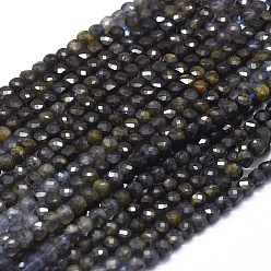 Iolite Natural Iolite Beads Strands, with Gold Point, Gradient Style, Square, Faceted, 4x4x4mm, Hole: 0.7mm, about 80pcs/Strand, 15.55 inch(39.5cm)