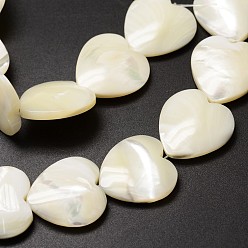 Ivoire Brins de perles de coquille de trochid / trochus shell, cœur, blanc crème, 18~19x18~19x4~6mm, Trou: 1mm, Environ 21 pcs/chapelet, 15.35 pouce