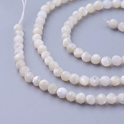 Autres Coquillages De Mer Chapelets de perles de coquillage, facette, ronde, 3~3.5mm, Trou: 0.5mm, Environ 115~130 pcs/chapelet, 14.5~16.1 pouce (37~41 cm)