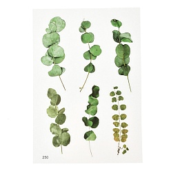 Leaf Waterproof Plastic Self Adhesive Stickers, Plant Pattern, Leaf Pattern, 15x10.5x0.01cm