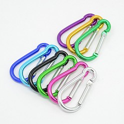 Mixed Color Aluminum Rock Climbing Carabiners, Key Clasps, Platinum, about 24mm wide, 50mm long, 4mm thick