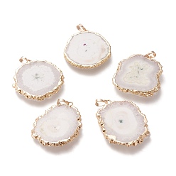 White Dyed Natural Druzy Solar Quartz Crystal Pendants, Edge Plated, with Brass Bails, Sunflower, Golden, White, 40~50x30~45x5~6mm, Hole: 4x6mm