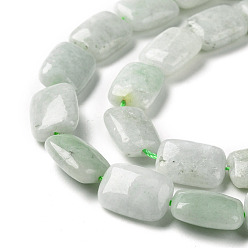 Myanmar Jade Perles de jade du Myanmar naturel / jade birmane, rectangle, 14.5x10.5x6mm, Trou: 1mm, Environ 28 pcs/chapelet, 16.14 pouce (41 cm)