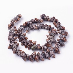 Spiral Shell Natural Spiral Shell Beads Strands, Conch, 5~10x12~17x6~10mm, Hole: 1mm, about 94pcs/strand, 15.3 inch(39cm)