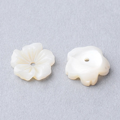 Creamy White Natural Sea Shell Beads, Flower, Creamy White, 9.5x10x3mm, Hole: 0.5mm