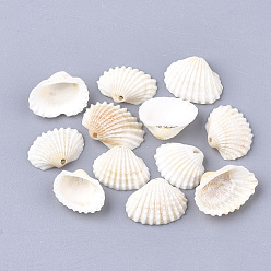 Creamy White Spiral Shell Charms, Shell, Creamy White, 21~29.5x17.5~24x6~10.5mm, Hole: 1.2mm