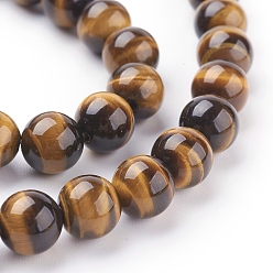 Goldenrod Natural Tiger Eye Beads Strands, Grade A, Round, Goldenrod, 8mm; about 49pcs/strand, 15 inch