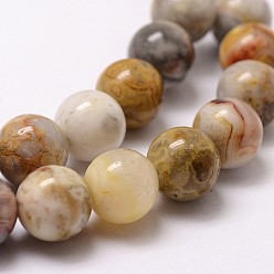 Crazy Agate Natural Crazy Agate Beads Strands, Round, 12mm, Hole: 1mm, about 31pcs/strand, 15 inch