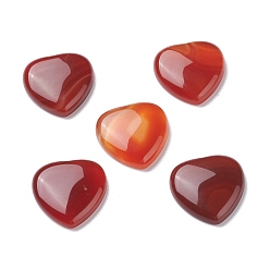 Red Agate Natural Red Agate Cabochons, Dyed & Heated, Heart, 29~30x29~30x6~8mm
