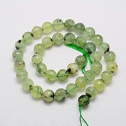 Prehnite Natural Prehnite Beads Strands, Faceted, Round, Pale Green, 6mm, Hole: 1mm